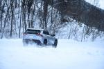 Toyota RAV4 2019 года (JP)